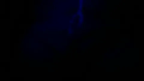 Photo of normalito007